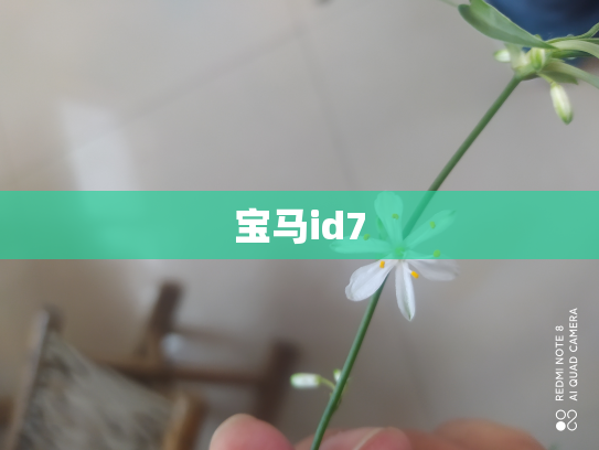 宝马id7