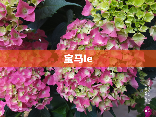 宝马le