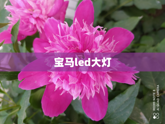 宝马led大灯