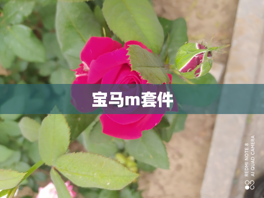 宝马m套件