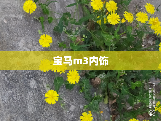 宝马m3内饰