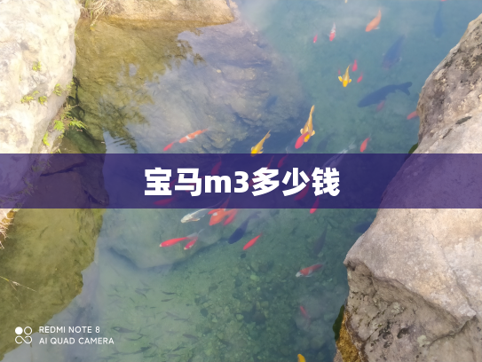 宝马m3多少钱