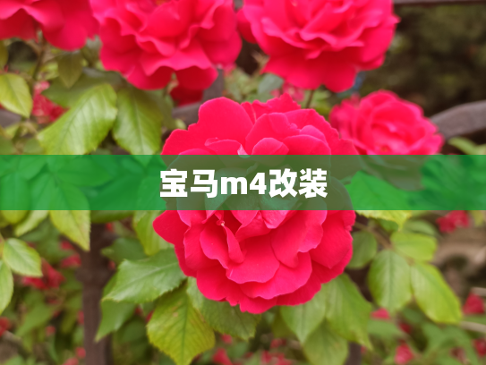 宝马m4改装