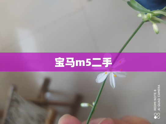 宝马m5二手