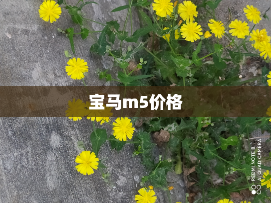 宝马m5价格