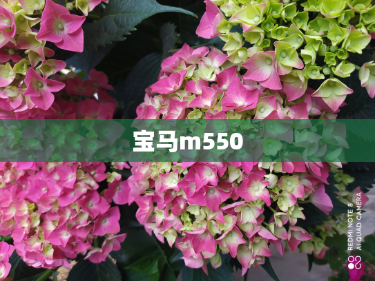 宝马m550