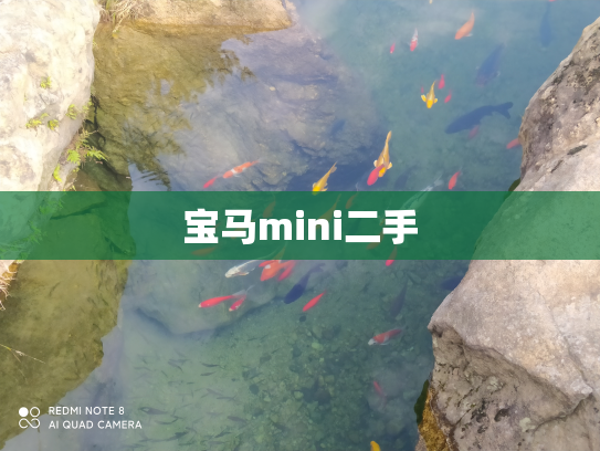宝马mini二手