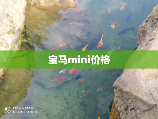 宝马mini价格