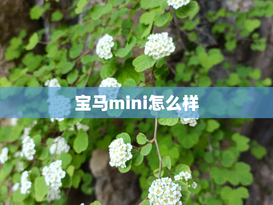宝马mini怎么样