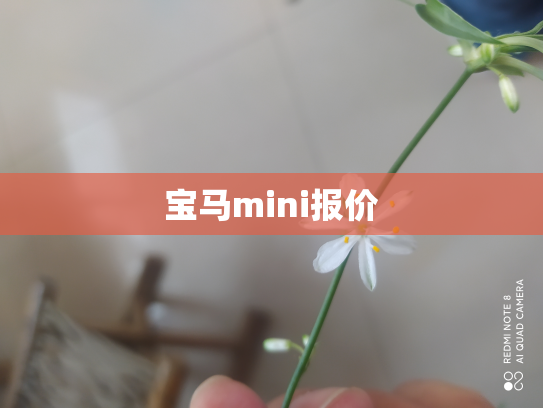 宝马mini报价