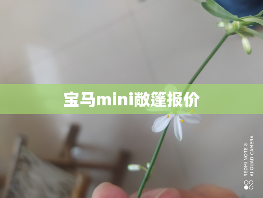 宝马mini敞篷报价