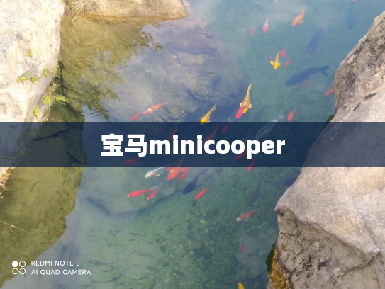 宝马minicooper