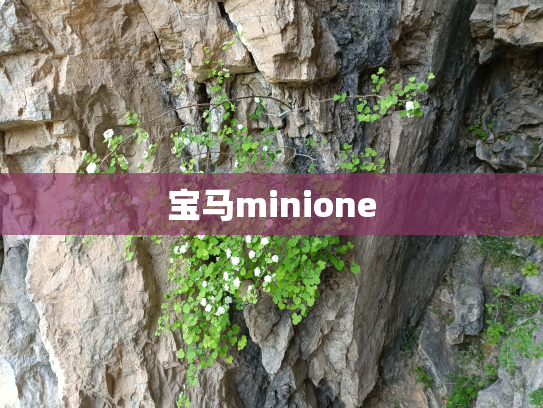 宝马minione