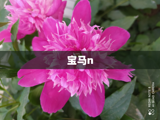 宝马n