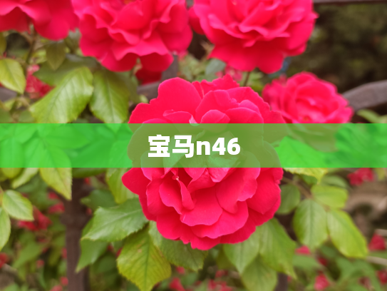 宝马n46