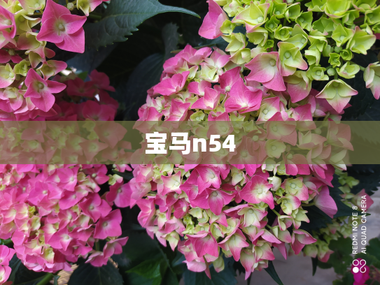 宝马n54