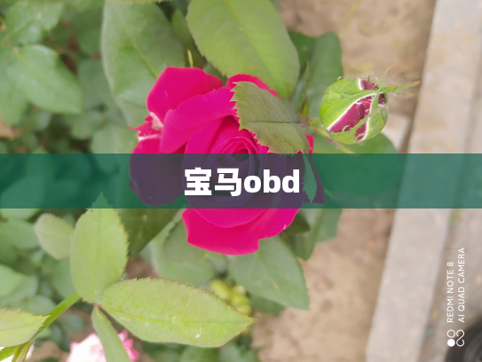 宝马obd