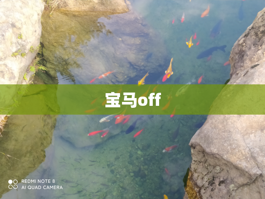 宝马off