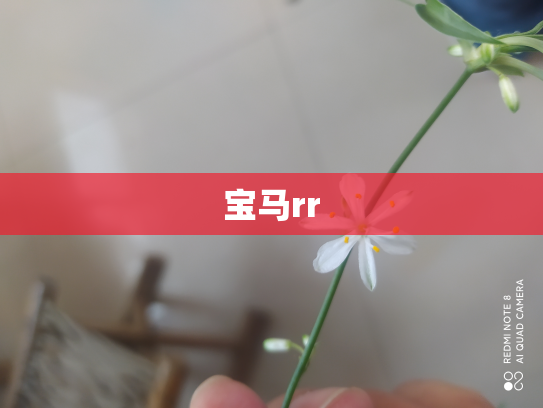宝马rr