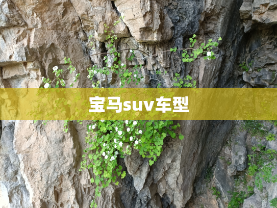 宝马suv车型