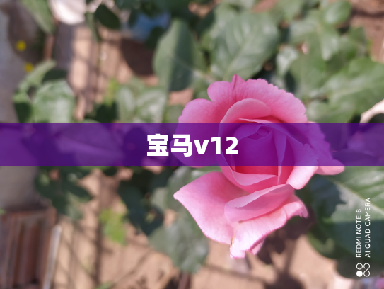 宝马v12