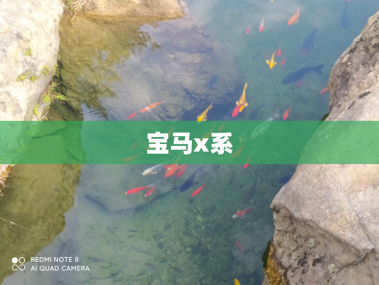 宝马x系