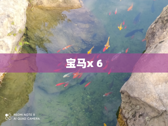 宝马x 6