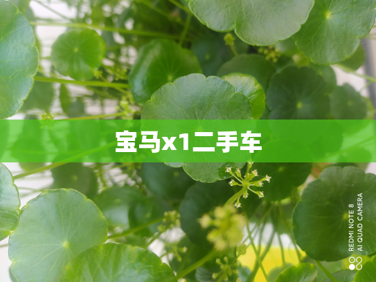 宝马x1二手车