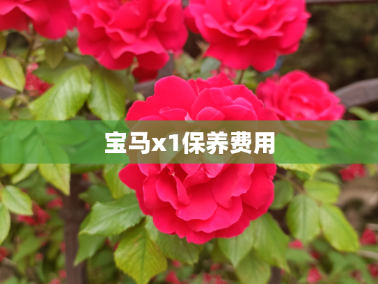 宝马x1保养费用