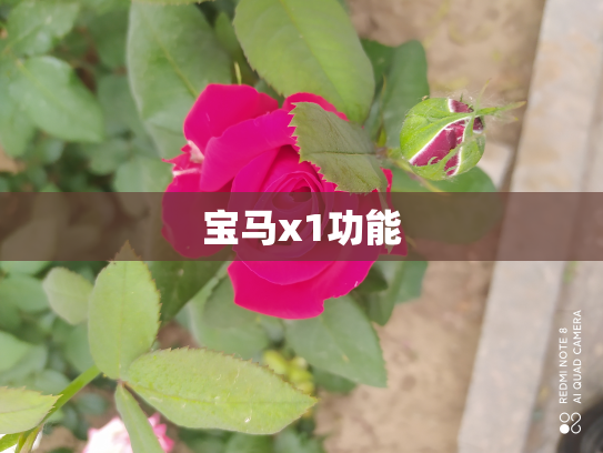 宝马x1功能
