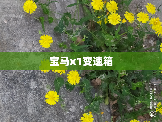 宝马x1变速箱