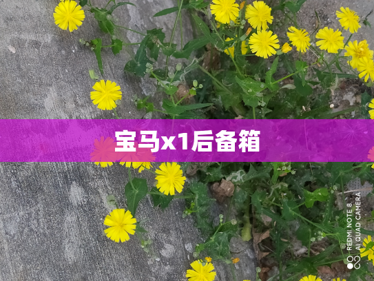 宝马x1后备箱