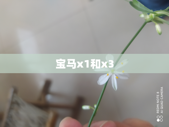 宝马x1和x3