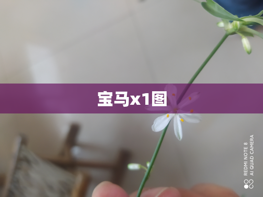 宝马x1图