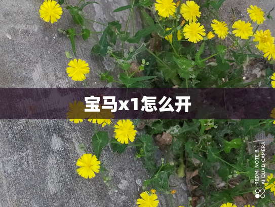 宝马x1怎么开