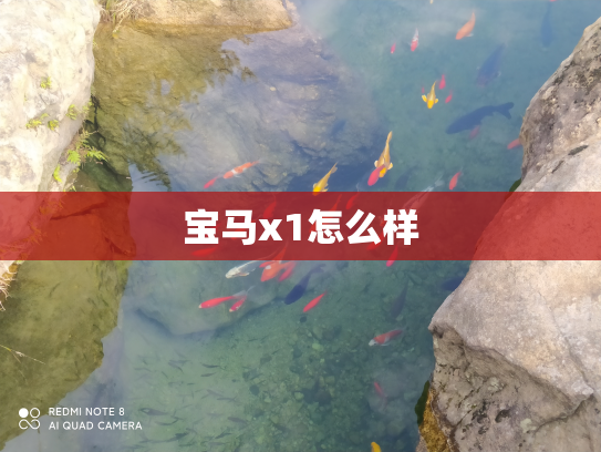 宝马x1怎么样