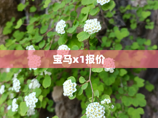 宝马x1报价