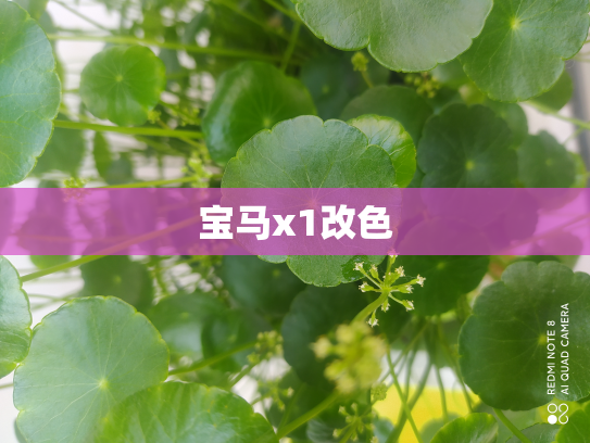 宝马x1改色