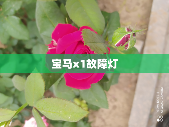宝马x1故障灯