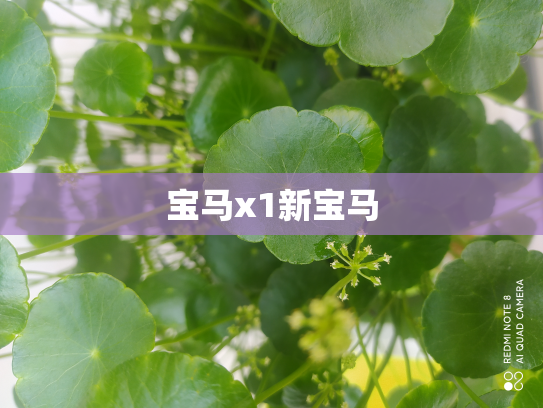 宝马x1新宝马