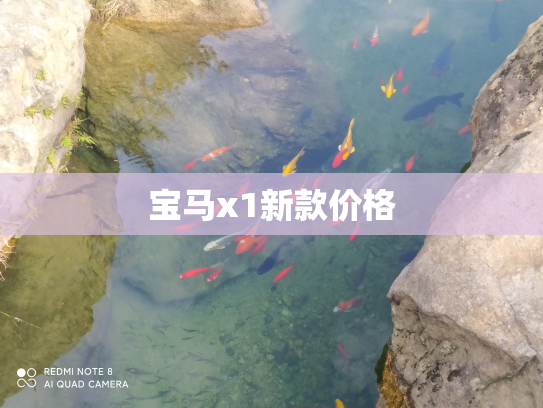 宝马x1新款价格