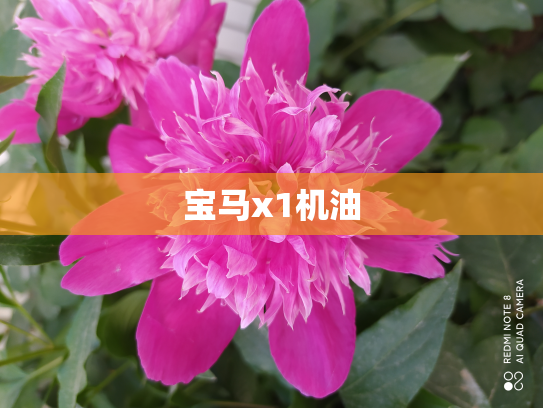宝马x1机油