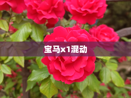 宝马x1混动
