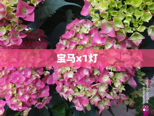宝马x1灯