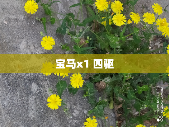 宝马x1 四驱