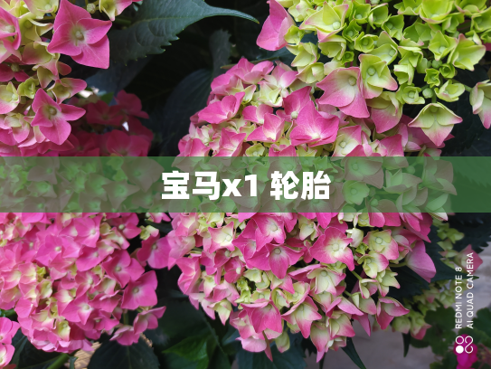 宝马x1 轮胎