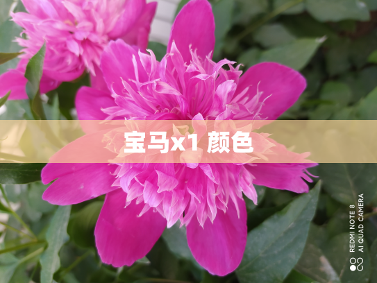 宝马x1 颜色