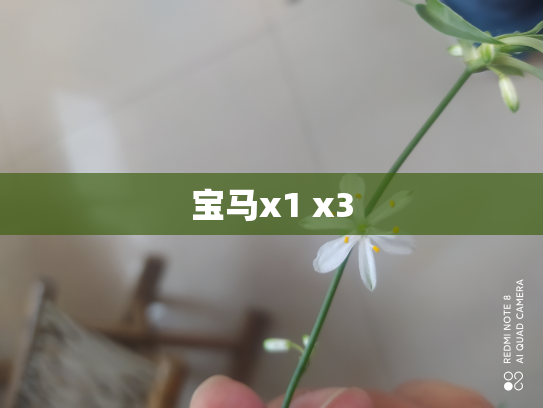 宝马x1 x3