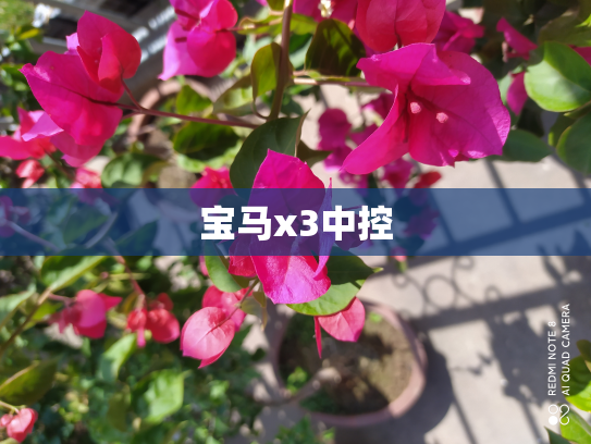 宝马x3中控