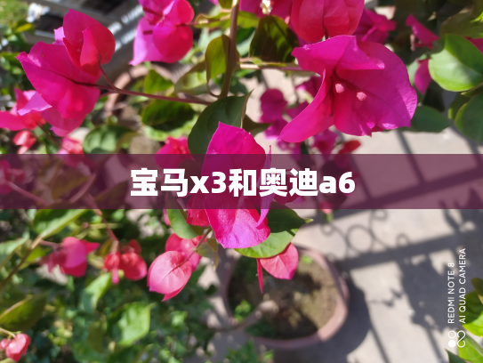 宝马x3和奥迪a6